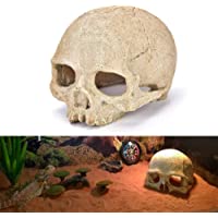JBLDY Acuario- Acuario- Ornamento- Escorpión- Escorpión- Araña- Araña- Lagarto Serpiente- Cráneo- Casa de Cría- Refugio…